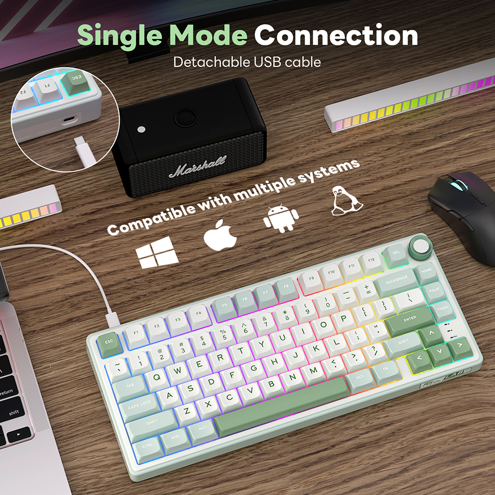 RK Royal Kludge R75 Gasket Wir - Gaming Keyboard Brand recensie en prijs
